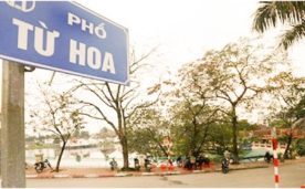 BÁN NHÀ MẶT PHỐ TỪ HOA , DT 182M2, MẶT TIỀN 11M, GIÁ 100 TỶ.