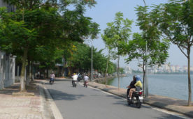 BÁN NHÀ MẶT NGÕ VÕNG THỊ , 8 TẦNG, LÔ GÓC, DT 191M2, MẶT TIỀN 11M, GIÁ 63 TỶ.