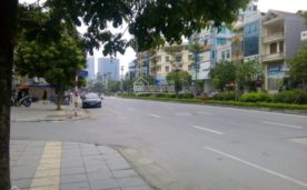BÁN NHÀ MẶT PHỐ LẠC LONG QUÂN , DT 94M2, GIÁ 20.5 TỶ.
