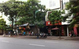 BÁN NHÀ MẶT PHỐ TÔ HIẾN THÀNH , DT 205M2, MẶT TIỀN 10M, GIÁ 86 TỶ.